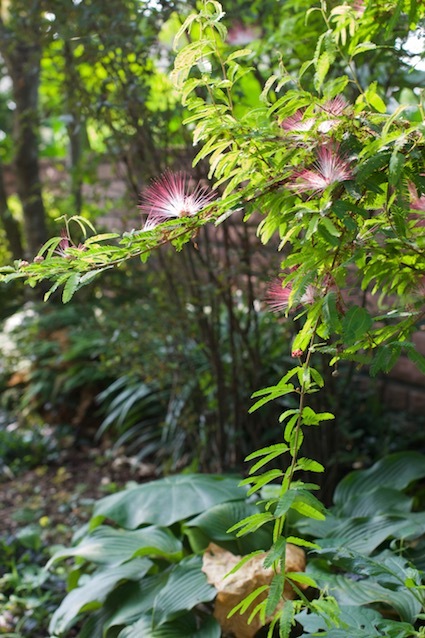 e0271409_23580976.jpg