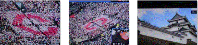 f0231709_12173668.gif