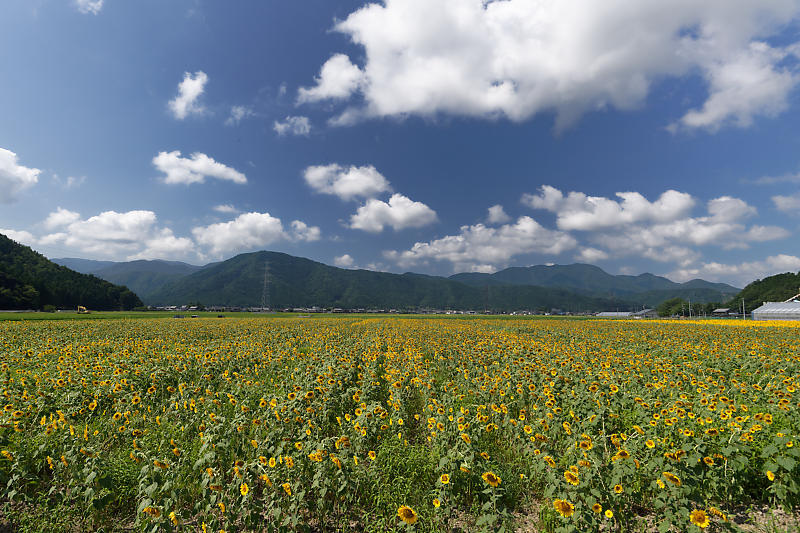 f0032011_19402958.jpg