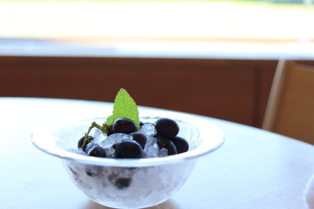 北海道旅行記④ ～美瑛：ホテル「bi.ble」・素敵な景色～_f0354014_22580289.jpg