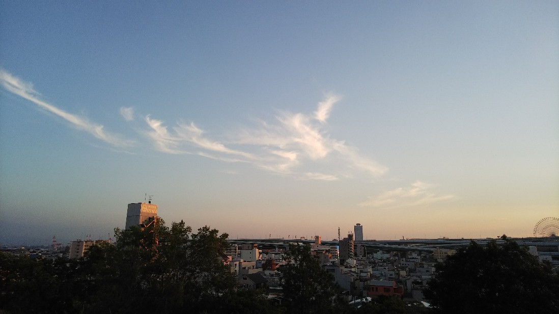 a0098418_17144964.jpg