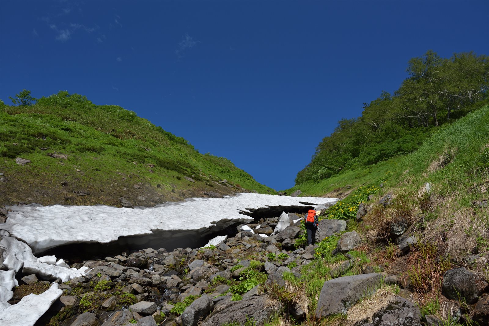 【夏休みの冒険】比麻奈山ー比麻良山　2018.8.5_a0145819_13391050.jpg