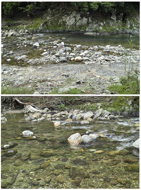 c0044819_6205417.jpg