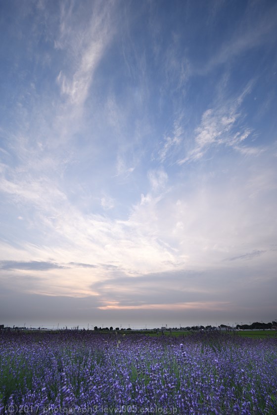 e0362037_21163776.jpg