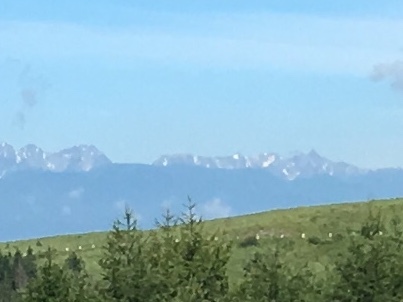 b0330040_11354077.jpeg