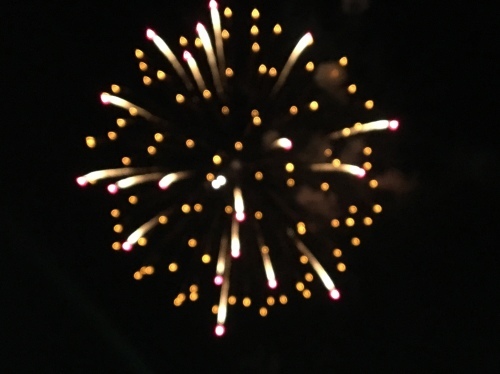 b0330040_21321701.jpeg