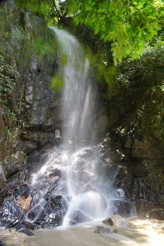 d0250840_23500054.jpg