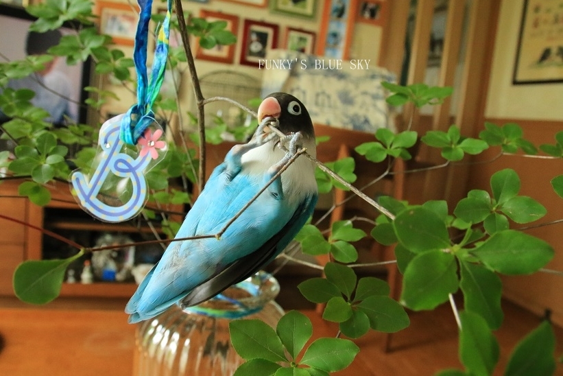 c0145250_10331668.jpg
