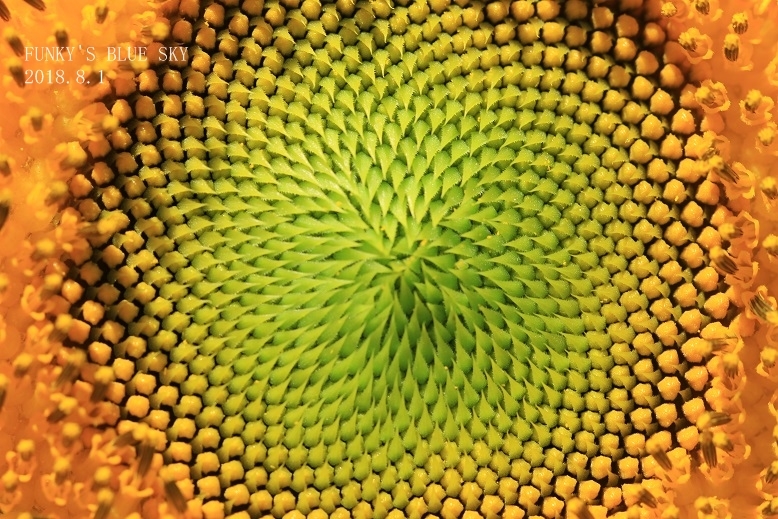 c0145250_10352400.jpg