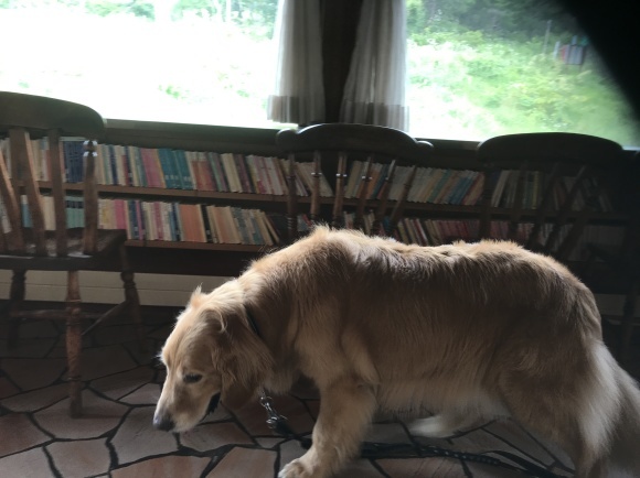 b0077451_13323082.jpeg