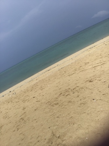 f0352451_11203375.jpeg