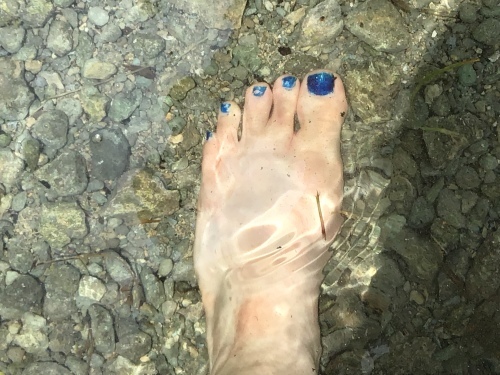 f0352451_13412695.jpeg