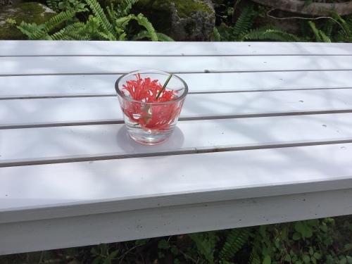 f0352451_13420915.jpeg