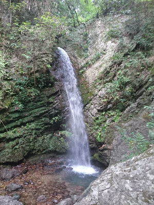 e0088260_17450736.jpg