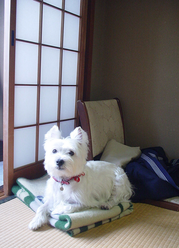 宿泊経験2回^^;_b0107163_07430492.jpg