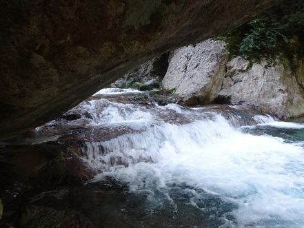 c0303868_11130931.jpg