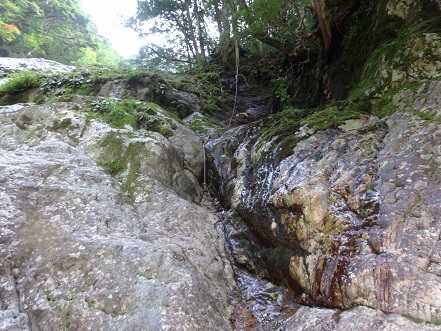 c0303868_11192272.jpg