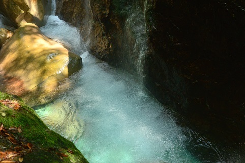 c0303868_11263160.jpg