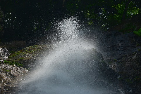 c0303868_11291053.jpg
