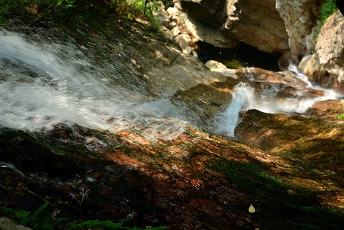 c0303868_11294288.jpg