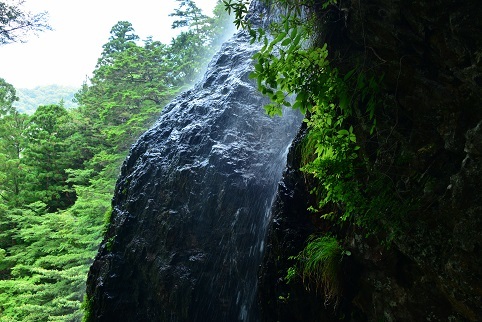 c0303868_11304656.jpg