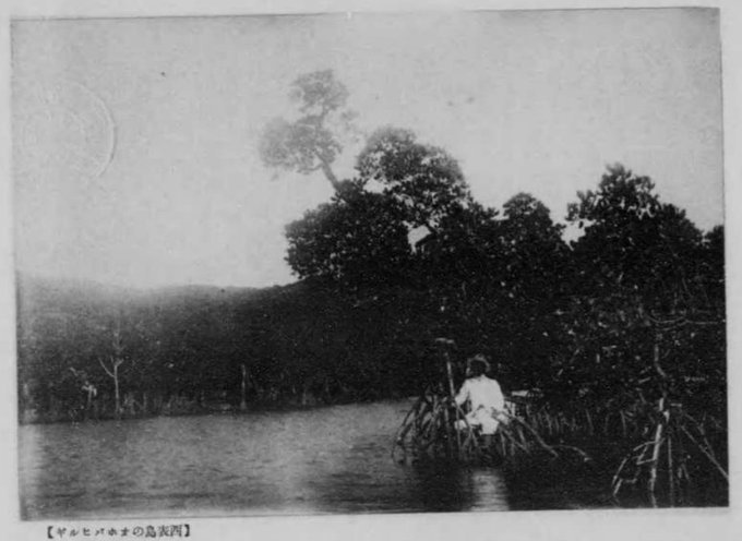 八重山戦前写真対照・運天港の髑髏塚???、広島原爆慰霊の日、冥加や夏鯨、純粋日記20180805-0807_b0116271_12514513.jpg