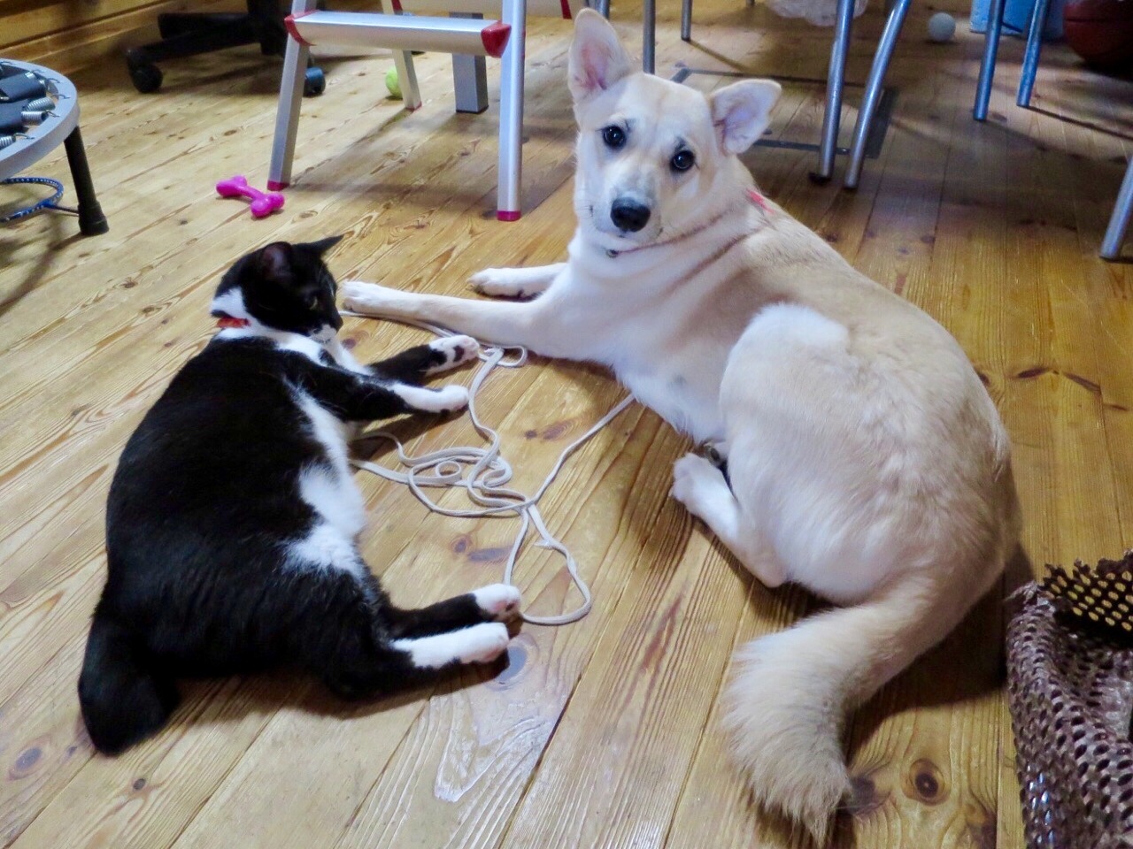 a0078772_17362915.jpeg