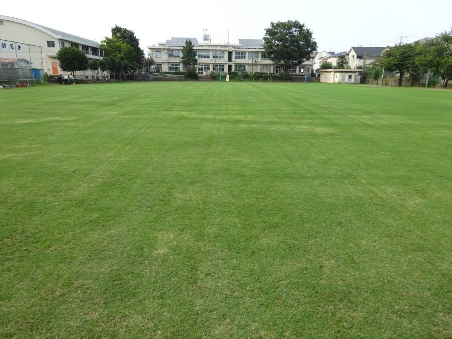 f0059673_08372215.jpg