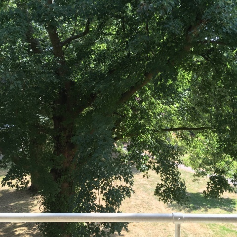 f0275876_22480491.jpeg