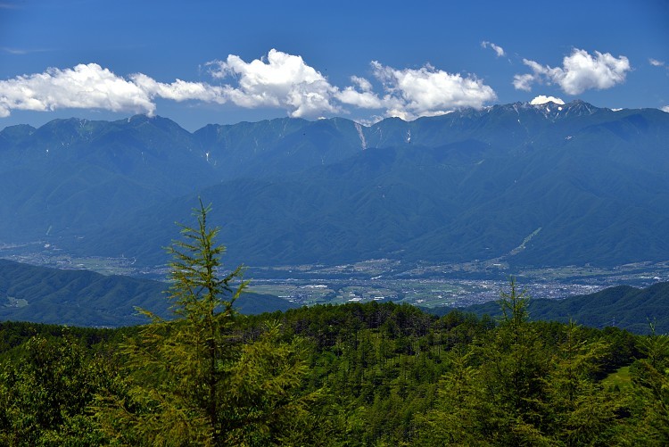 d0341880_07481017.jpg