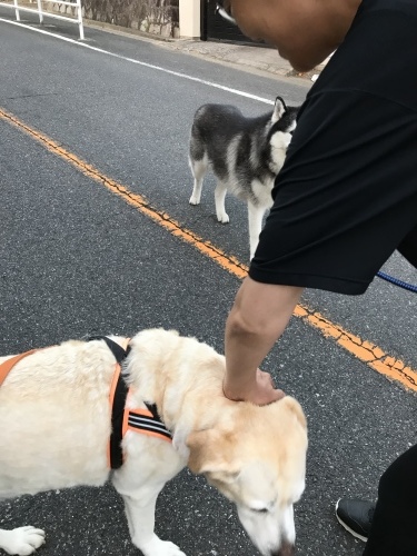 f0315081_22173695.jpeg