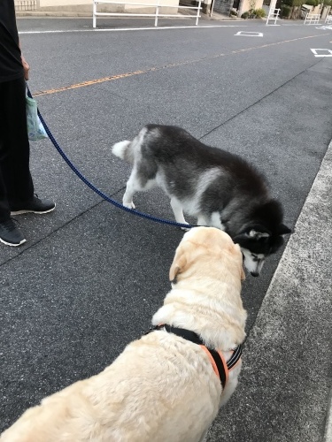 f0315081_22181714.jpeg