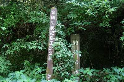 c0229483_94615.jpg