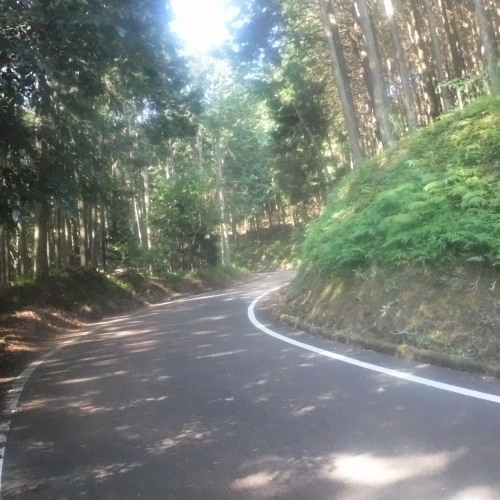 d0195183_00474729.jpeg