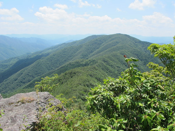 中国山地の安蔵寺山を登る 2018.8.5（日）_a0166196_14164798.jpg