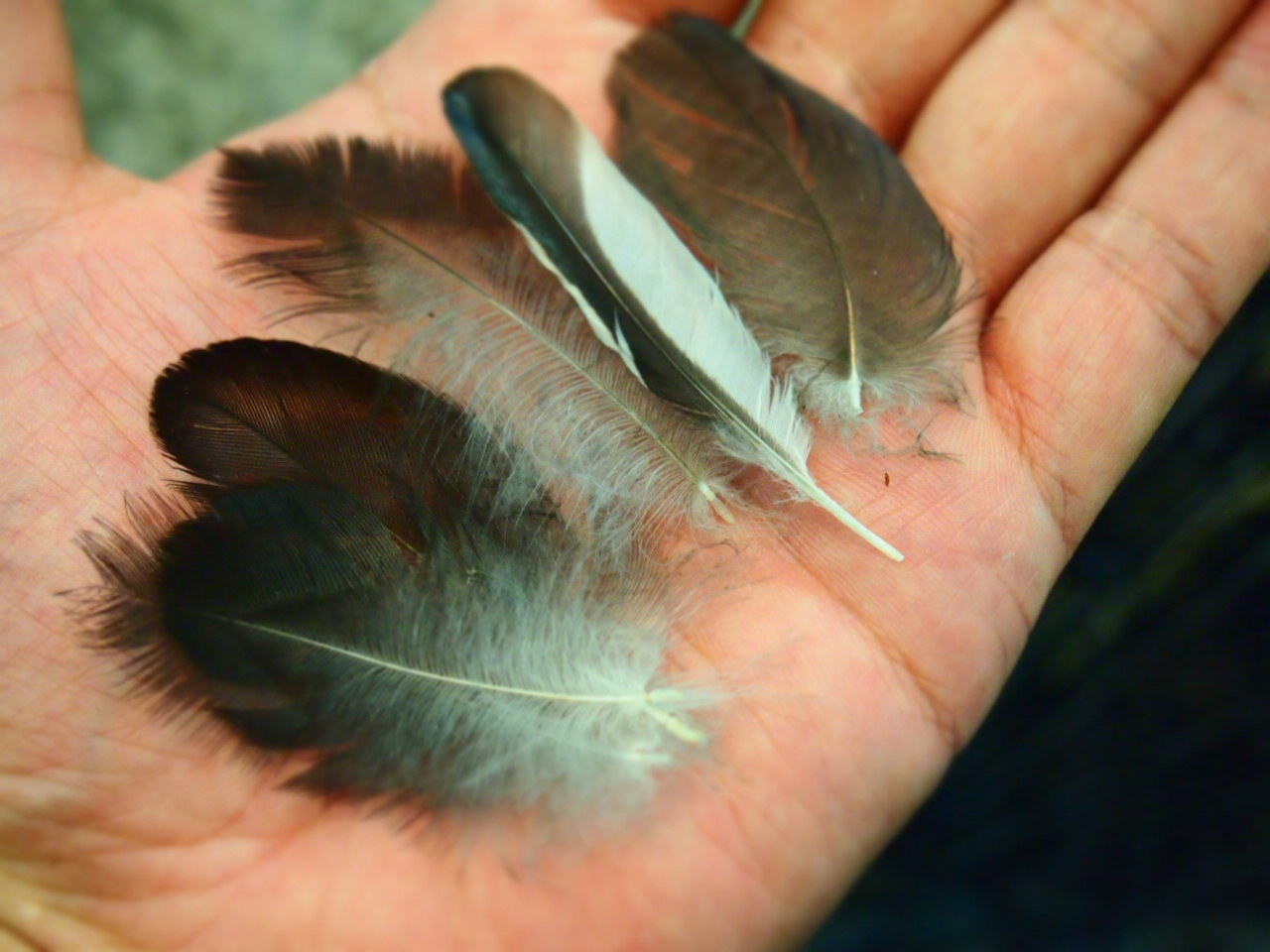 a0199297_08442490.jpg