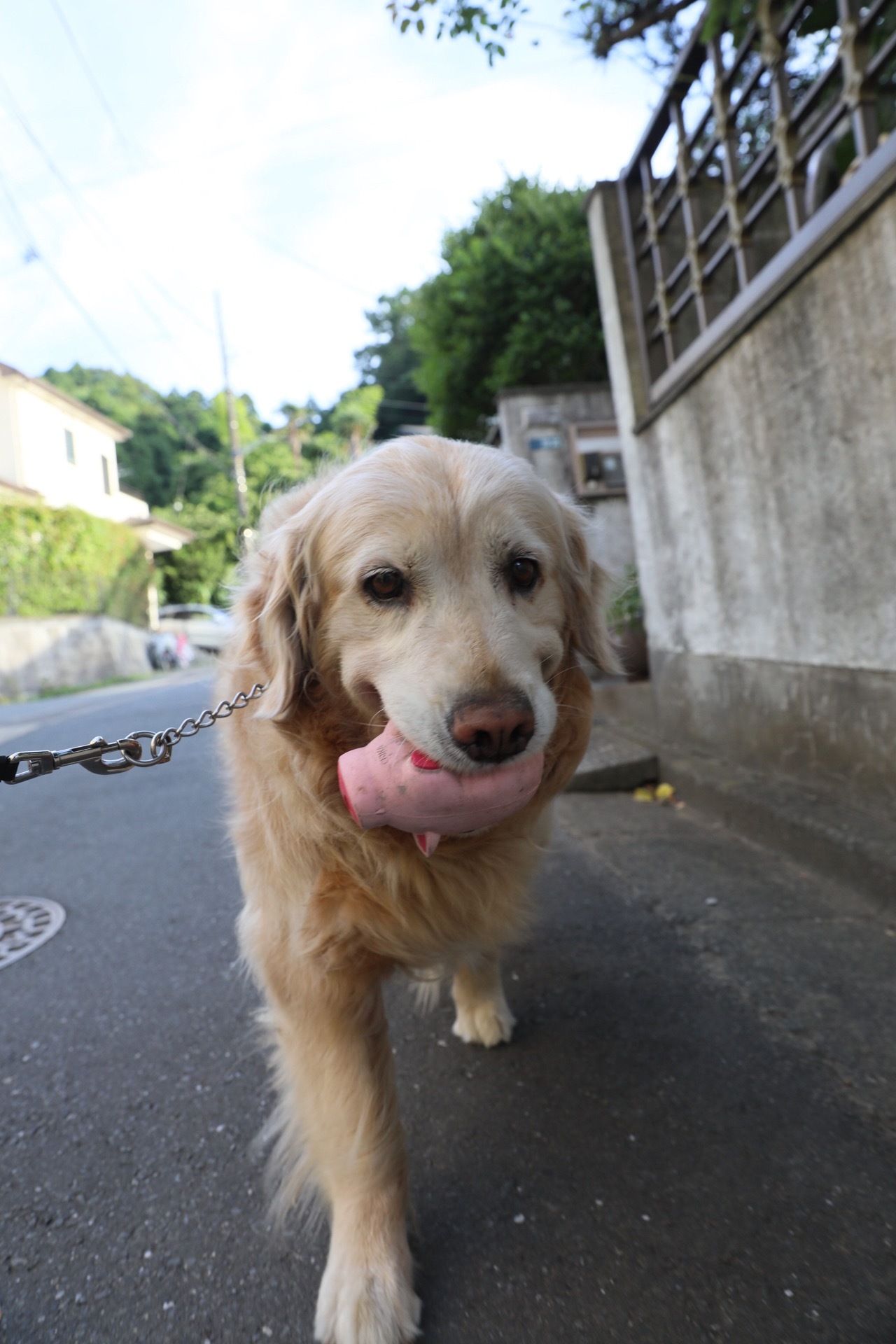 b0275998_13373199.jpeg