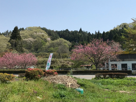 a0218499_17123091.jpg