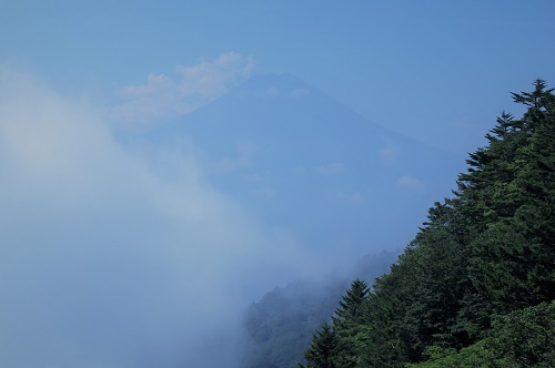 「午前中なら・・涼しいと思います」三ツ峠山(^o^)_a0158702_11490742.jpg