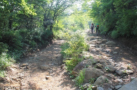 「午前中なら・・涼しいと思います」三ツ峠山(^o^)_a0158702_11495832.jpg