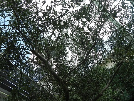 c0152002_18332045.jpg