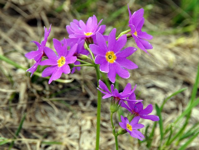 a0345007_12504787.jpg