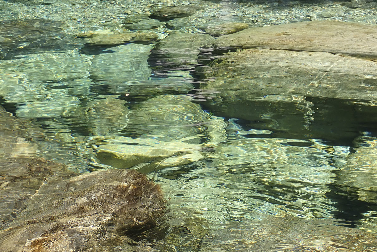 対岸へ上陸したはいいが_f0137508_14270359.jpg