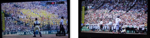 f0231709_09341009.gif