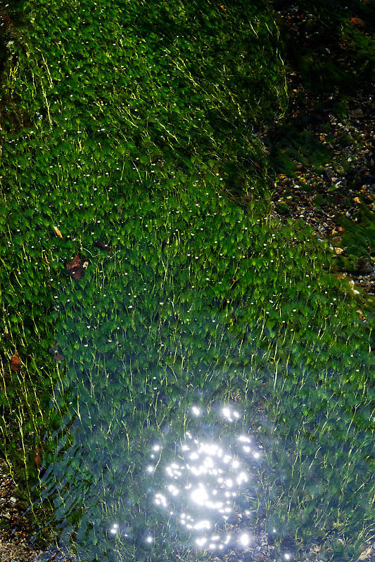 f0032011_19532830.jpg
