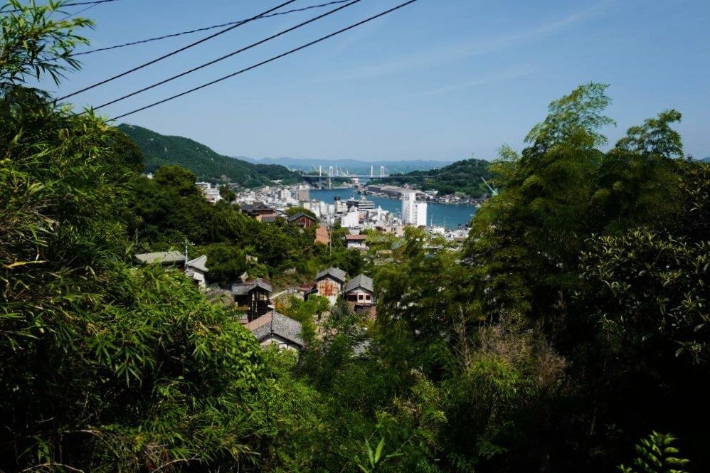 f0365212_20314158.jpg
