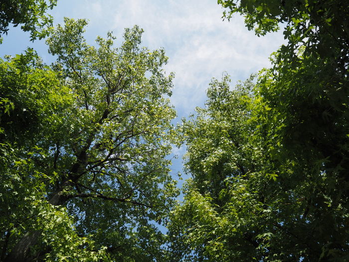 c0116915_00005512.jpg
