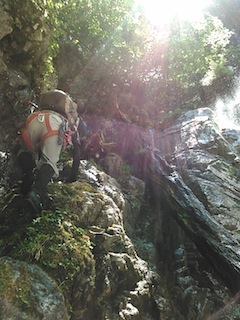 c0359615_22173399.jpg