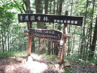c0359615_22174802.jpg