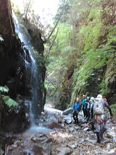 c0359615_22200912.jpg